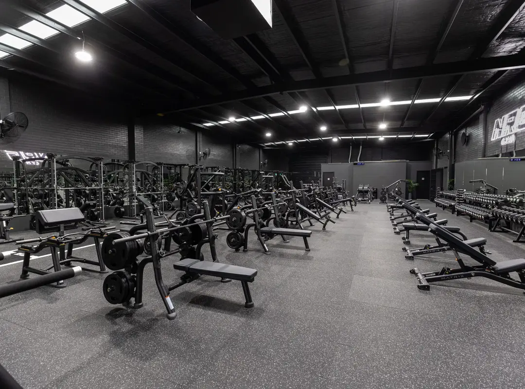 Premium Gyms In Palm Jumeirah