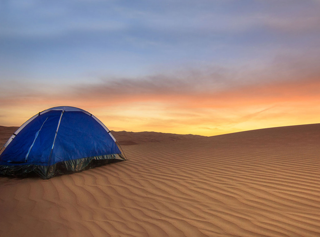 Dessert Camping in Dubai