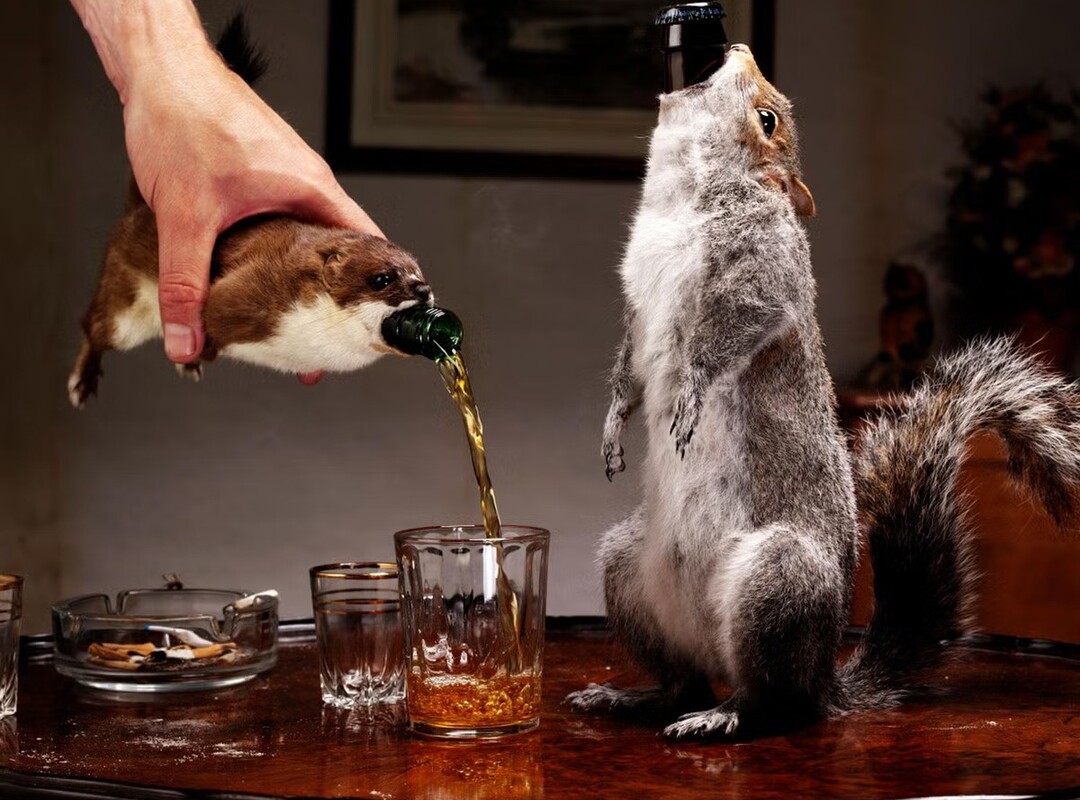 The World’s Top 10 Most Expensive Beer