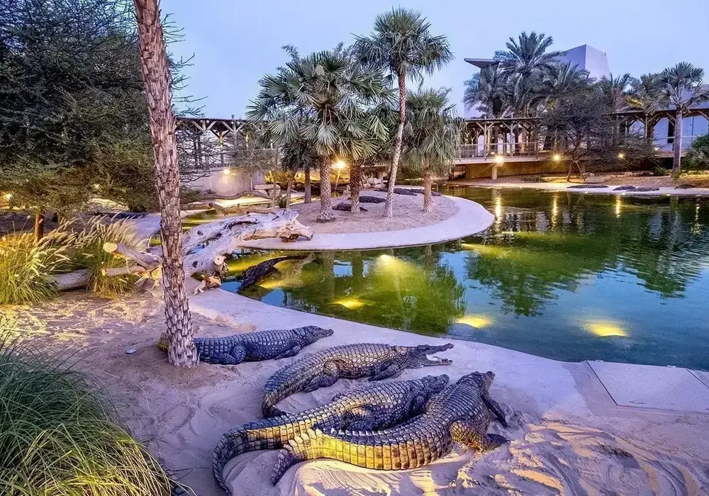Top 5 Parks in Dubai for Recreation and Relaxation