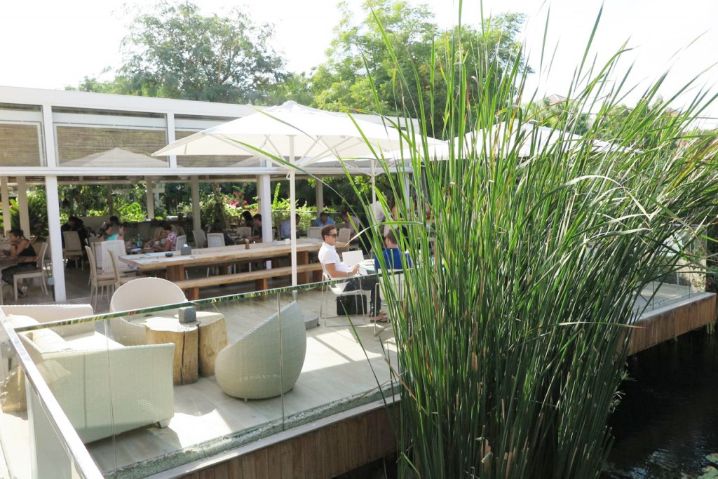 Exploring The Farm Al Barari and its Charm