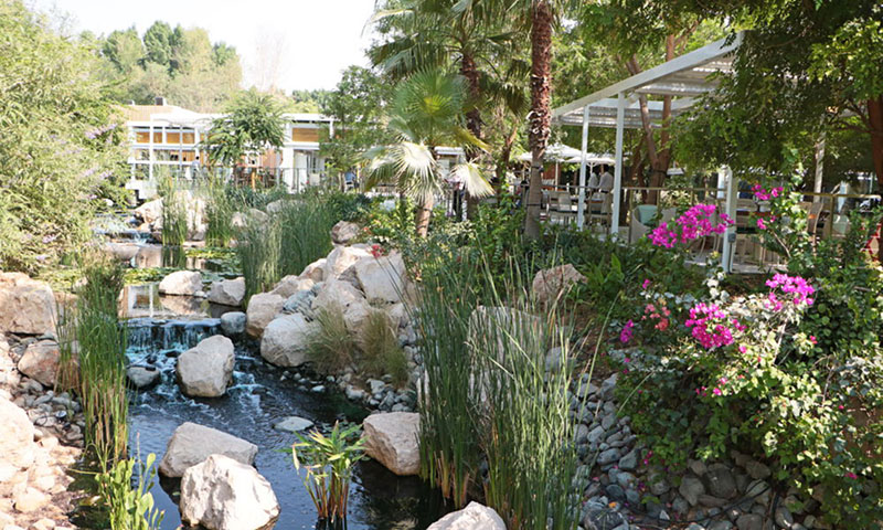 Exploring The Farm Al Barari and its Charm