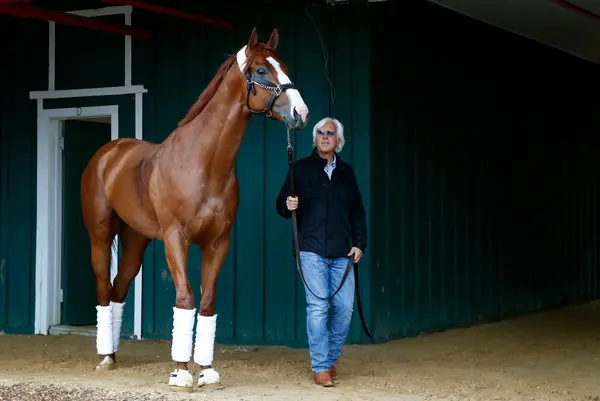 Top 10 Most Expensive Horses ever Sold