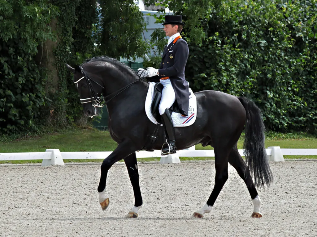 Top 10 Most Expensive Horses ever Sold