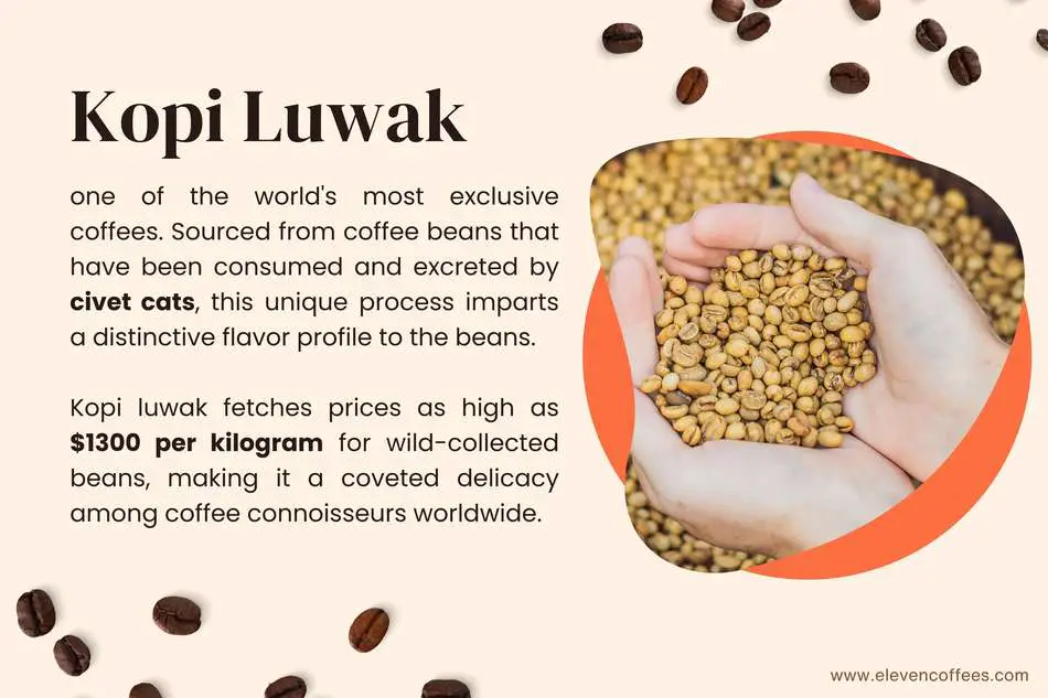 Top 10 Most Expensive Coffees in the World