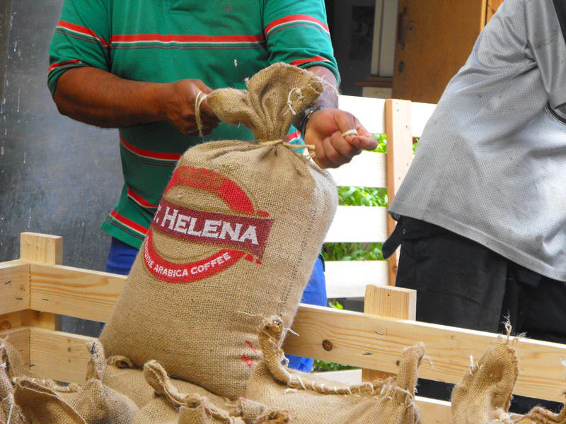 Top 10 Most Expensive Coffees in the World