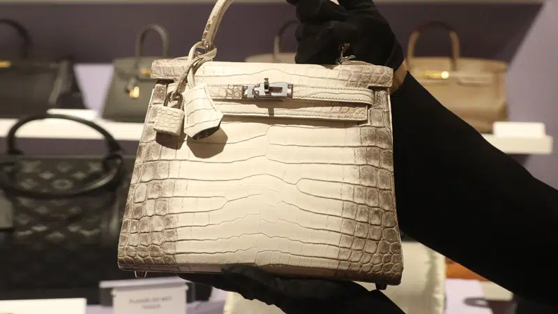 Top 10 Most Expensive Hermès Birkin Bags in the World