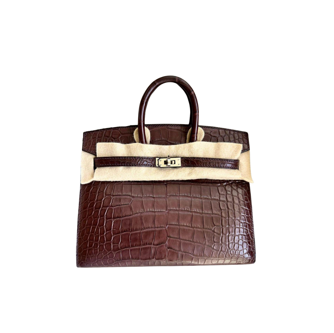 Top 10 Most Expensive Hermès Birkin Bags in the World
