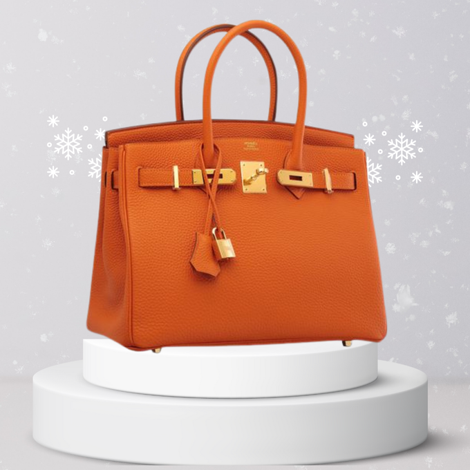 Top 10 Most Expensive Hermès Birkin Bags in the World
