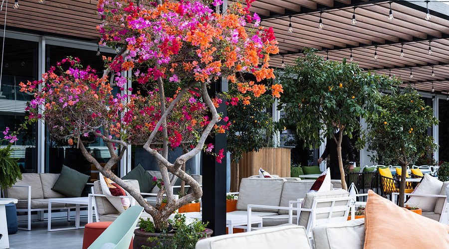 Exploring Al Barari's Cafés: A Hidden Oasis in Dubai