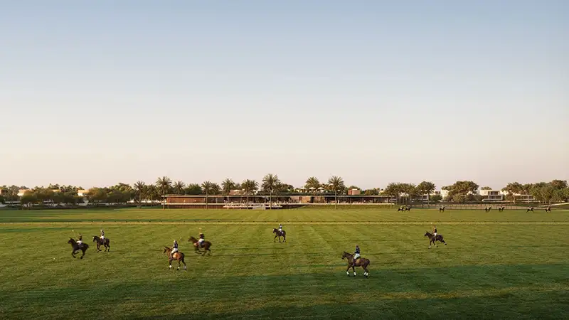 Grand Polo Club & Resort by Emaar in DIP